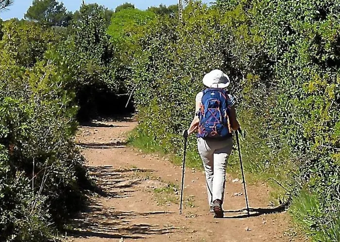 Les Isatis Apartment *